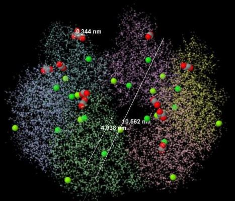 Image of protein's chains with EDO, Mg, Cl